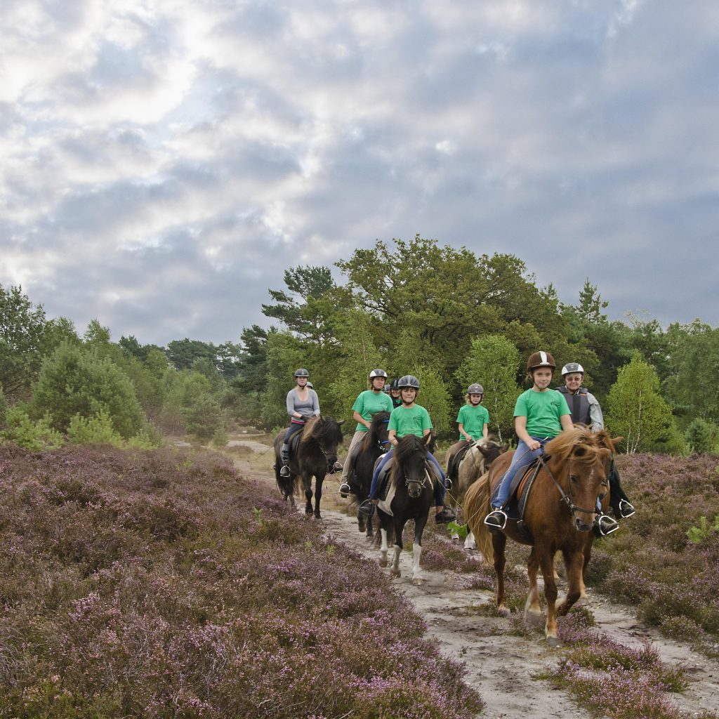 Reiten in der Lüneburger Heide auf einem sandigen Heideweg