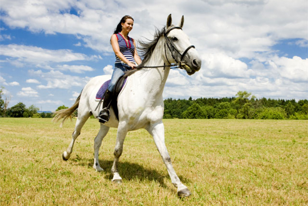 Конная прогулка – 2 часа.