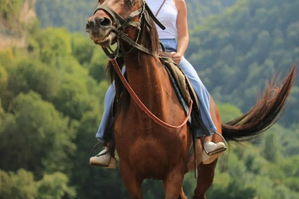 Конная прогулка – 2 часа.