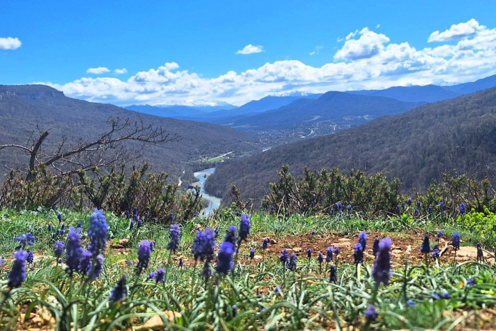 Конная прогулка – 2 часа.