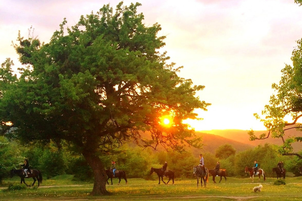 Конная прогулка – 2 часа.