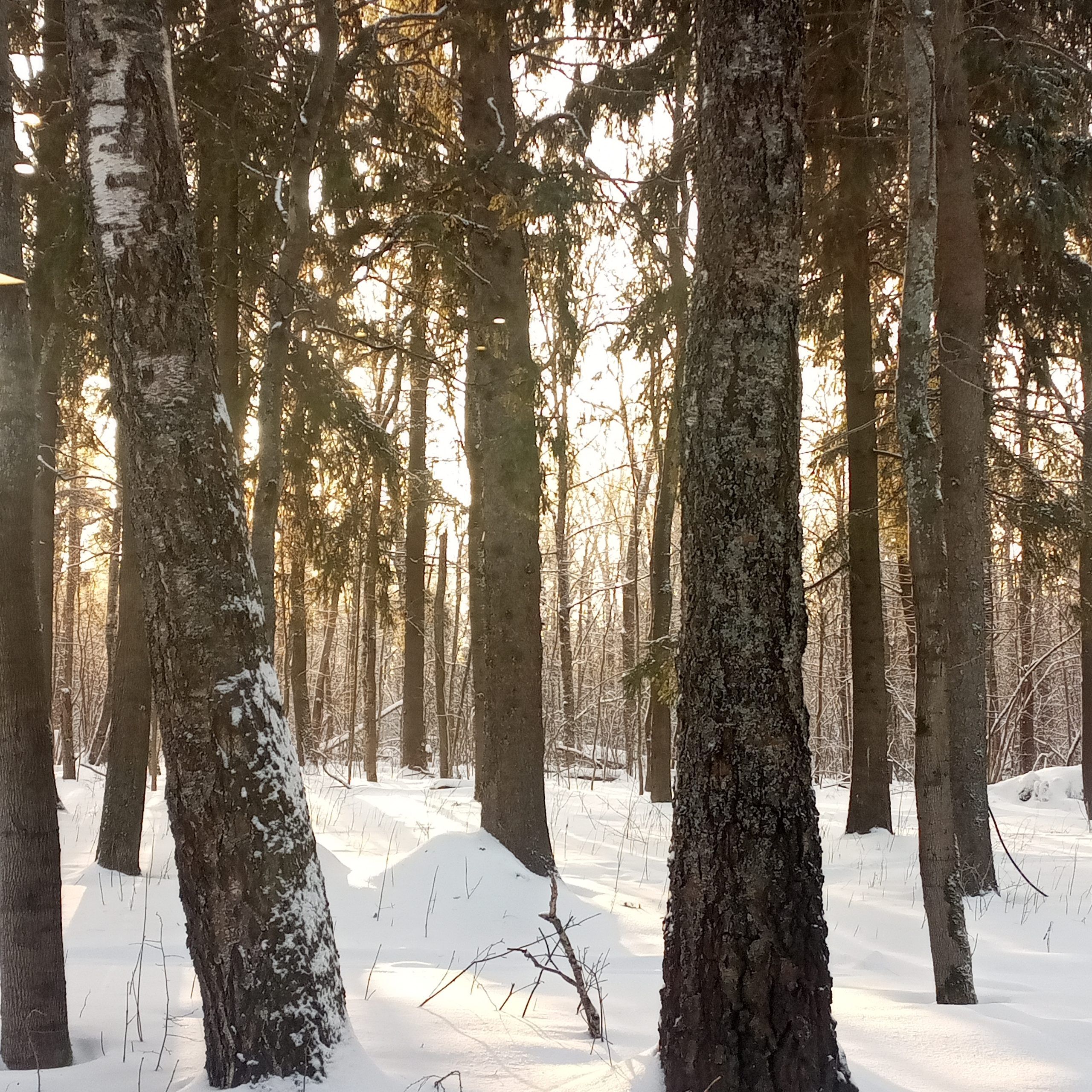 Экскурсионный Домбай из Краснодара