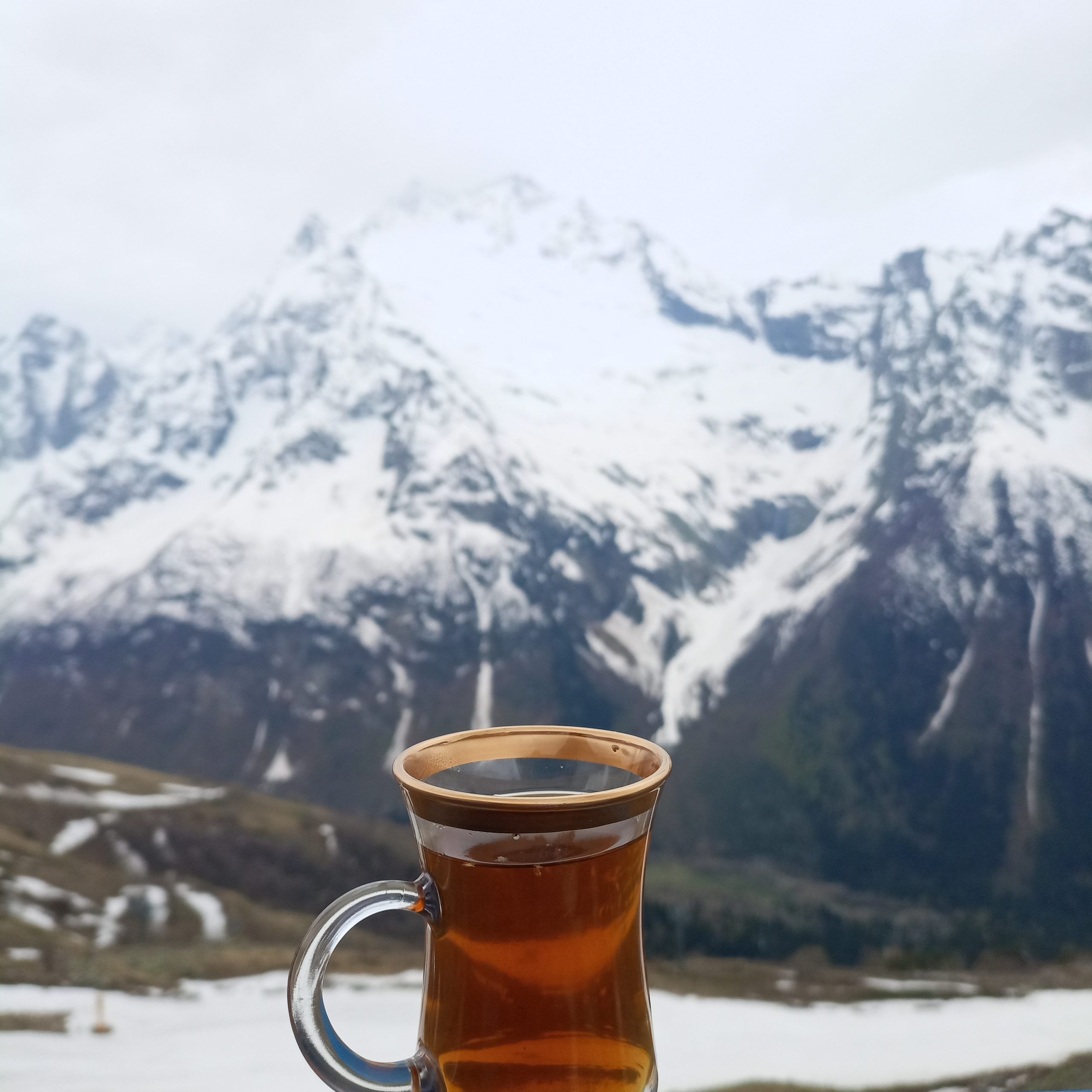 Экскурсионный Домбай из Краснодара