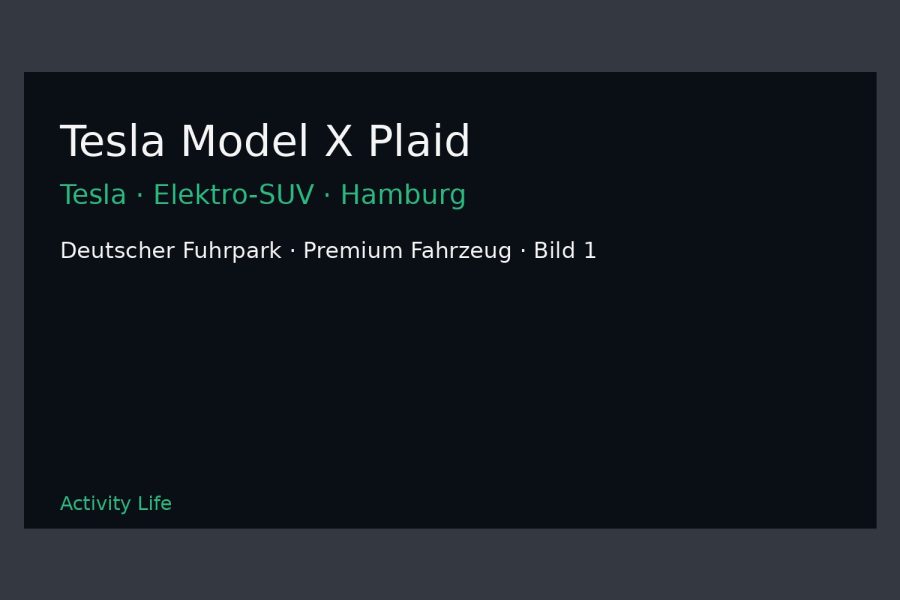 Tesla Model X Plaid Bild 1