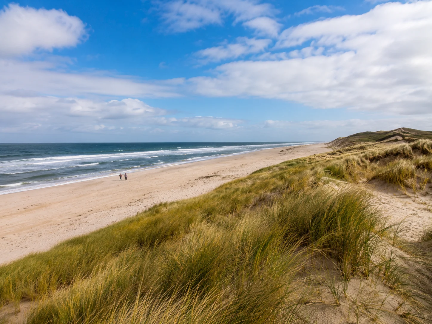 Sylt Dünen und Küstenwanderung